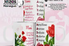 whatsapp-image-2025-03-29-at-12.10.33-pm-3